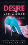 Desire in Lingerie - 圖片 1