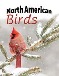 North American Birds - 圖片 1