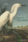 The Birds of America - 圖片 1
