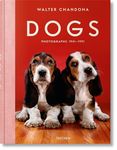 Walter Chandoha. Dogs. Photographs 1941-1991 - 圖片 1