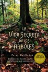 Vida Secreta de Los Arboles, La - 圖片 1