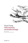 Cielo nocturno con heridas de fuego - 圖片 1