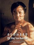 WSL Ving Tsun Kuen Hok: An Overview in the Form of Essays - 圖片 1