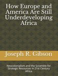 How Europe and America Are Still Underdeveloping Africa: Neocolonialism and the Scramble for Strategic Resources in 21st Century Africa - 圖片 1