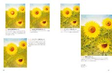 はじめての油絵レッスン - 圖片 6