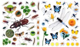 Eyelike Stickers: Bugs - 圖片 2