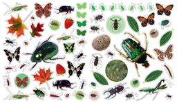 Eyelike Stickers: Bugs - 圖片 3