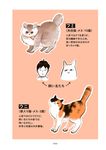 うちの猫は仲が悪い - 圖片 11