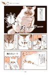 うちの猫は仲が悪い - 圖片 7