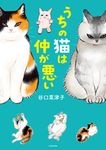 うちの猫は仲が悪い - 圖片 3