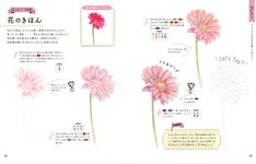 ぬりえではじめる色えんぴつの素敵な塗り方レッスンノート - 圖片 4