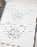 Anatomy for Artists: A Visual Guide to the Human Form - 圖片 4