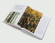Out of the Woods: Architecture and Interiors Built from Wood - 圖片 7