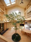 Out of the Woods: Architecture and Interiors Built from Wood - 圖片 5