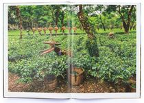 In Search of Elsewhere: Unseen Images - 圖片 5