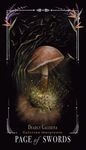 Midnight Magic: A Tarot Deck of Mushrooms - 圖片 2