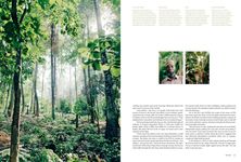 Kinfolk Wilderness - 圖片 6