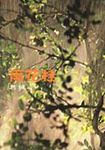 桂花雨 - 圖片 1
