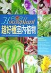 超好種室內植物 - 圖片 1