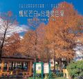 楓紅芒白與台灣變色葉 - 圖片 1