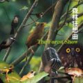 森林狂想曲 - 圖片 1