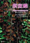 紫斑蝶 - 圖片 1