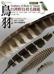 鳥羽 - 圖片 1