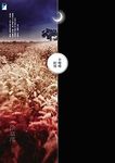 不熄燈的房 - 圖片 1