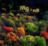 繽紛．太魯閣 - 圖片 1