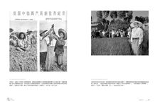 毛澤東的大饑荒: 1958-1962年的中國浩劫史 - 圖片 7