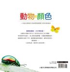 動物的顏色: 由世界各地動物所組成的七色彩虹 - 圖片 3