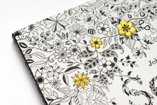 Secret Garden: An Inky Treasure Hunt and Colouring Book - 圖片 3