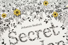 Secret Garden: An Inky Treasure Hunt and Colouring Book - 圖片 4