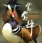 鴛鴦醉: 醉心紀錄鴛鴦十年故事 (2版) - 圖片 1
