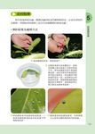 昆蟲, 就該這樣養! 陸棲篇 - 圖片 5