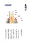 狗狗美容師 - 圖片 4