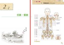 人體經穴地圖 (彩色增訂版) - 圖片 4