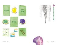 我們要好好的, 吃晚餐: 兩個人40天的美味關係 - 圖片 4