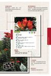 實用青草藥圖鑑 - 圖片 4
