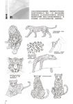 1500種動物姿勢素描圖鑑 - 圖片 7