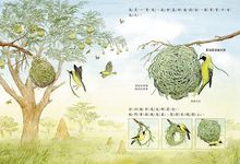 我有舒適的窩 - 圖片 4