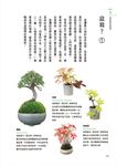 不失敗! 超慵懶手掌園藝 - 圖片 4