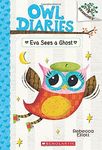 Owl Diaries 2: Eva Sees a Ghost - 圖片 1