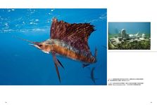 國家地理終極旅遊: 全球80個最夢幻的度假小島 - 圖片 4