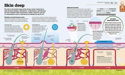 How the Body Works - 圖片 3