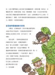 神奇的探索 - 圖片 4