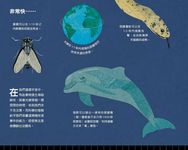 一秒大驚奇: 你所不知道的時間小百科 - 圖片 7