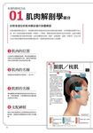 肌肉機能解剖觸診技術臨床按摩療法 - 圖片 2