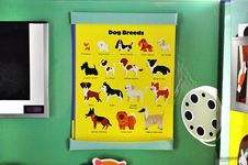 I Want to Be: Veterinarian - 圖片 4