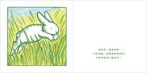 小白兔, 跳呀跳 - 圖片 4